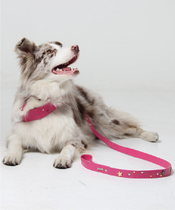 Pink Astral leather dog leash