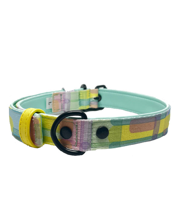 Pastly canvas collar