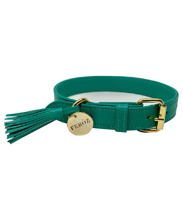 Turquoise leather dog collar