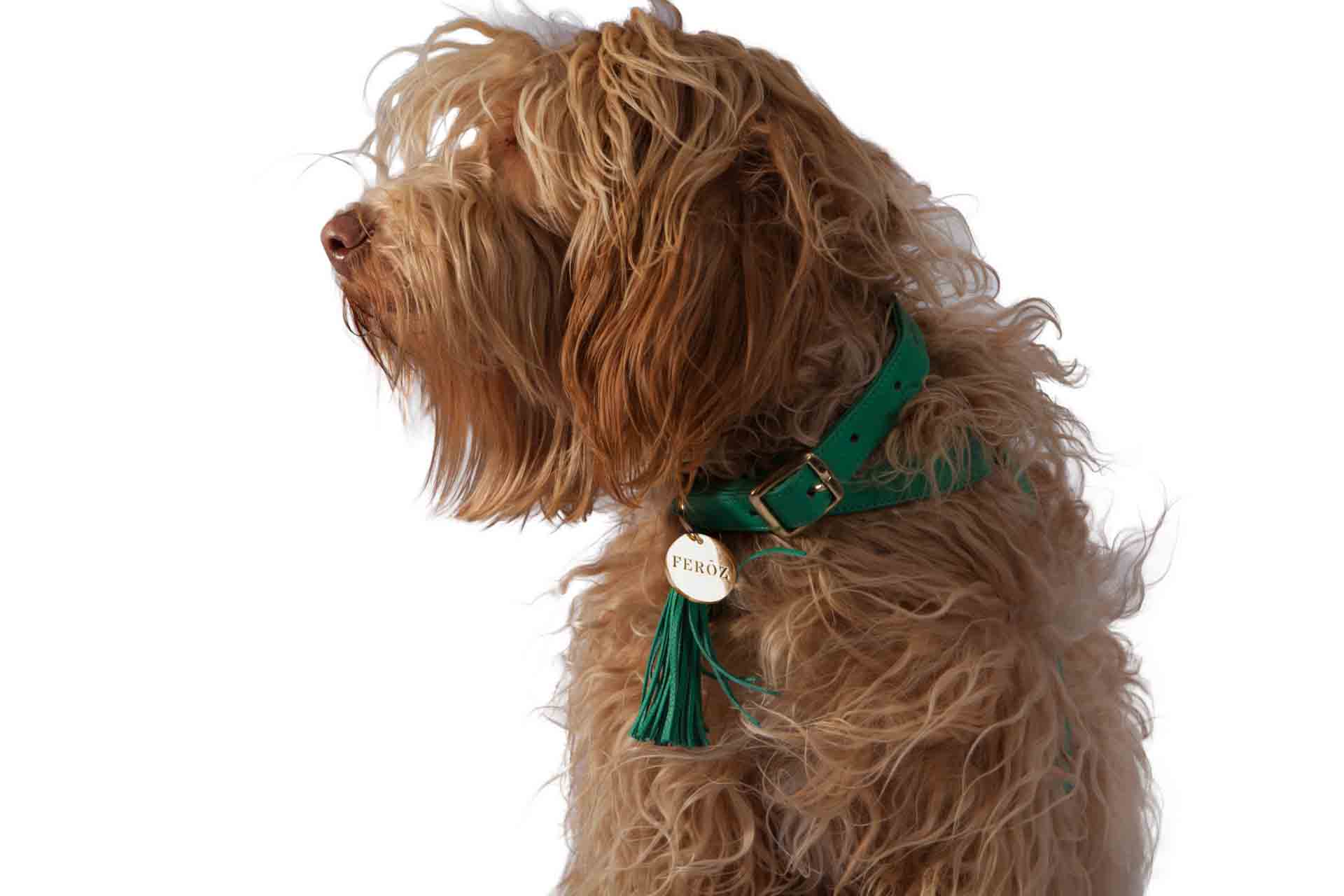 Turquoise leather dog leash