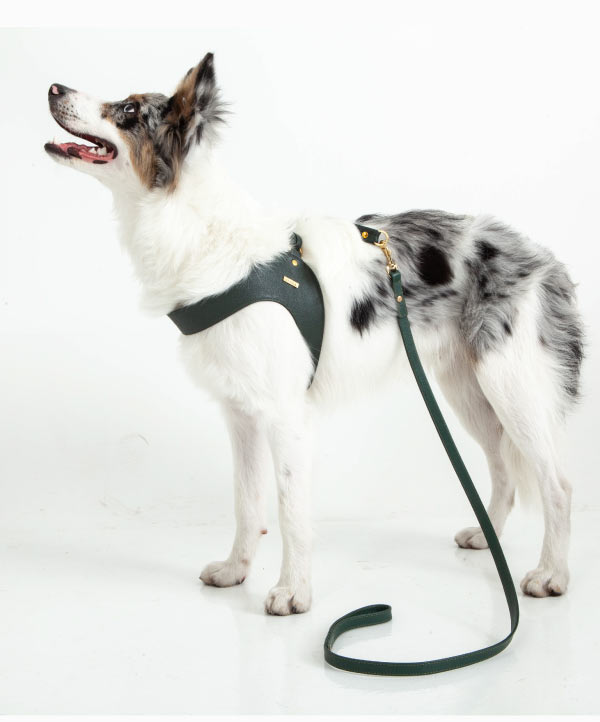 Pine green leather dog leash