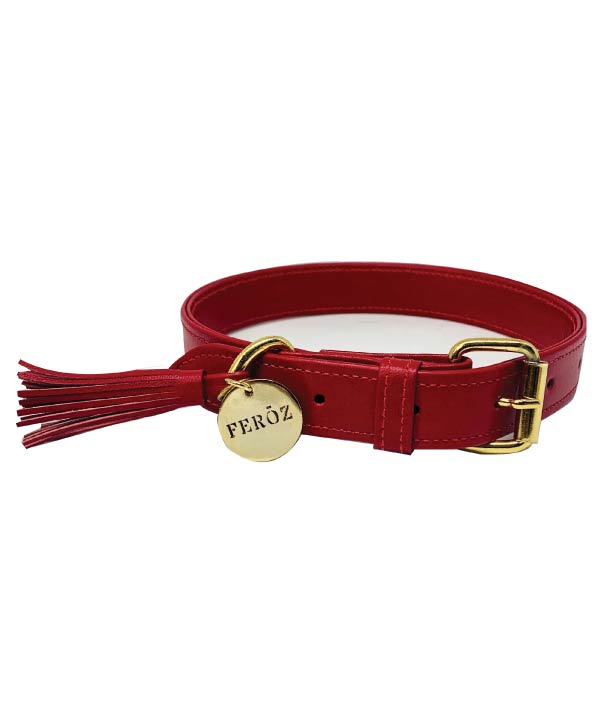Scarlet red leather dog collar